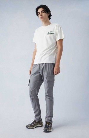 Pánské Kalhoty PacSun Eco Stretch Gray Slim Cargo Šedé | 10HAFDUNO