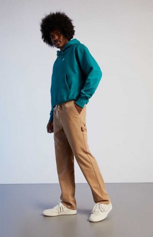 Pánské Kalhoty PacSun Twill Carpenter Hnědé | 74GPNOEWC