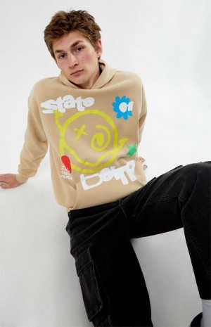 Pánské Mikina s Kapucí PacSun Web Of Smiles Puff Hnědé | 90FWIOQDH