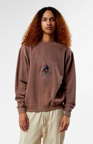 Pánské Mikiny PacSun Mammoth Embroidered Crew Neck Hnědé | 14YSRTBFL