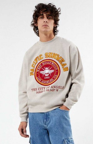Pánské Mikiny PacSun Pacific Sunwear Chenille Crew Neck Šedé | 80POFGKDB