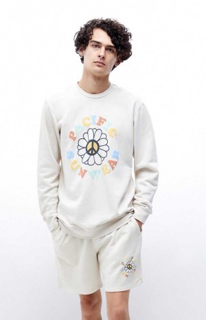 Pánské Mikiny PacSun Pacific Sunwear Crew Neck Krém | 06NADIECM