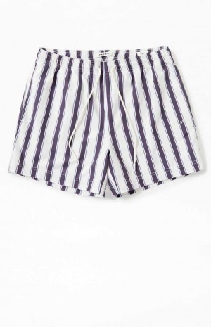 Pánské Svetry PacSun Charcoal Stripe 4.5 Swim Trunks Šedé | 45BNGHVFQ