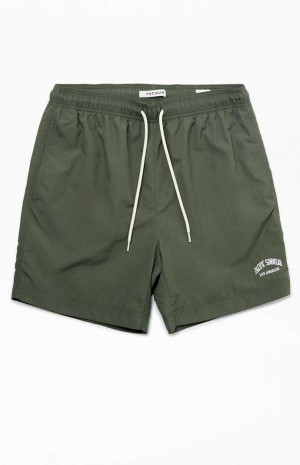 Pánské Svetry PacSun Green Nylon Collegiate 6.5" Swim Trunks Zelene | 19ZAPYHRD