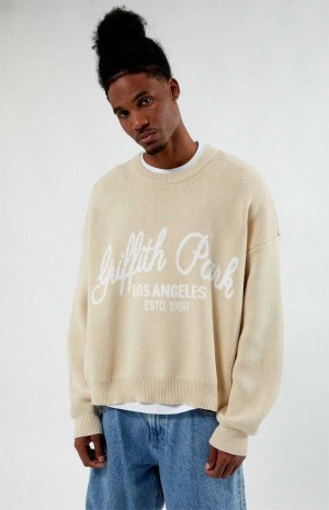 Pánské Svetry PacSun Griffith Park Hnědé | 67JNYTRIL