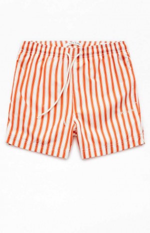 Pánské Svetry PacSun Mandarin Pruhovaný 4.5" Swim Trunks Oranžové | 01GXZLIKP