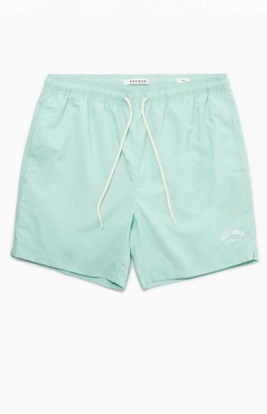 Pánské Svetry PacSun Mint Nylon Collegiate 6.5" Swim Trunks Mátově Zelená | 52CGWFKXN