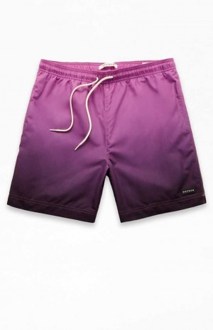 Pánské Svetry PacSun Purple Gradient 6.5" Swim Trunks Fialové | 81DRONBQY