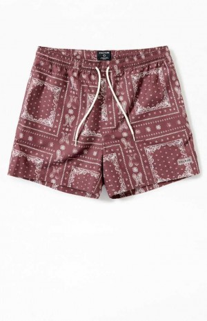 Pánské Svetry PacSun Recycled Bandana Block 4.5" Swim Trunks Hnědé | 81KLQIUMN