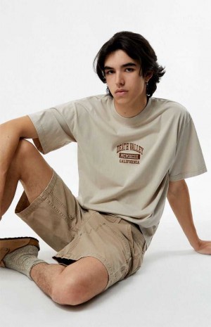 Pánské T-shirt PacSun Death Valley Embroidered Hnědé | 83WJHOITC