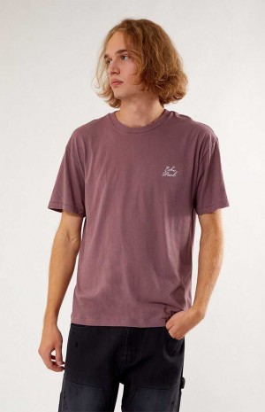 Pánské T-shirt PacSun Echo Park Embroidered Regular Fit FLINT | 04TNOQWVA