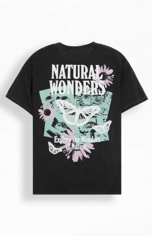 Pánské T-shirt PacSun Natural Wonders Černé | 13PFJXDYE