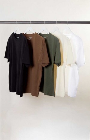 Pánské T-shirt PacSun PS Basics 5 Pack Reece Regular s Viacfarebný | 74KVCHAPR