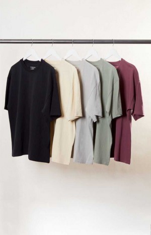 Pánské T-shirt PacSun PS Basics Basic Oversized Viacfarebný | 09UCYJDFL