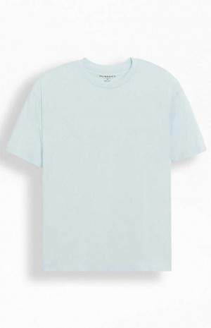 Pánské T-shirt PacSun PS Basics Reece Světle Blankyt | 95OJDGKEI