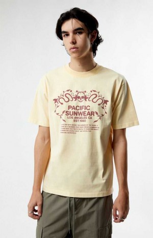 Pánské T-shirt PacSun Pacific Sunwear Behind The Horizons Hnědé | 09PQHEVWB