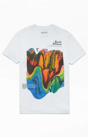 Pánské T-shirt PacSun Pacific Sunwear Blur Bílé | 82IKATHCL