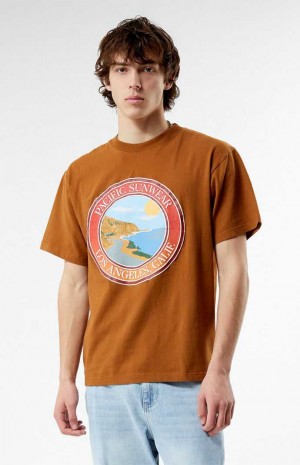 Pánské T-shirt PacSun Pacific Sunwear Coastal Hnědé | 71XPQEKHY