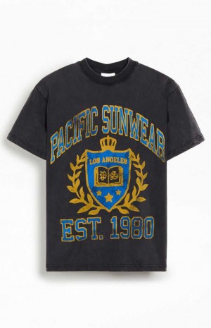 Pánské T-shirt PacSun Pacific Sunwear Crest Černé | 02IJSPTRN