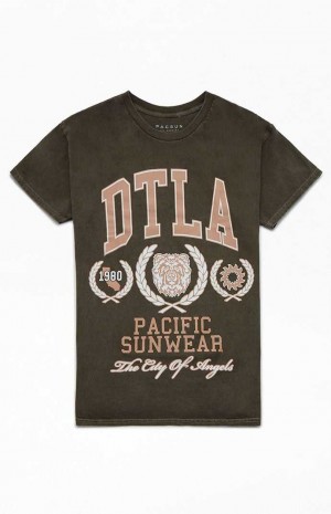 Pánské T-shirt PacSun Pacific Sunwear DTLA Hnědé | 29EIZCNLH