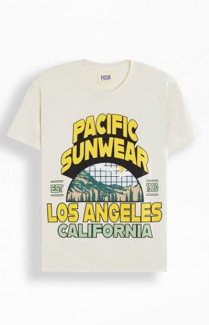Pánské T-shirt PacSun Pacific Sunwear Los Angeles Hnědé | 35XCJLODA