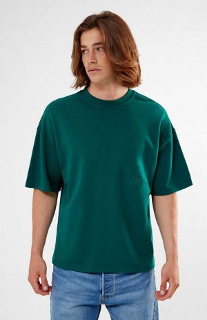 Pánské T-shirt PacSun Pine Dive Fleece Tmavě Zelene | 54SJKMOAE