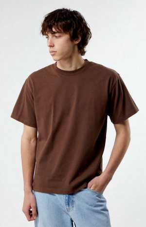 Pánské T-shirt PacSun Premium Hnědé | 23KFGNPBL