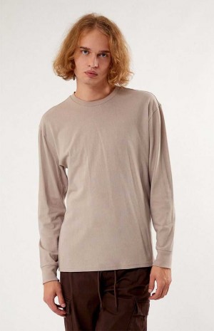 Pánské T-shirt PacSun Reece Basic Long Sleeve Šedé | 36JXTMUIQ