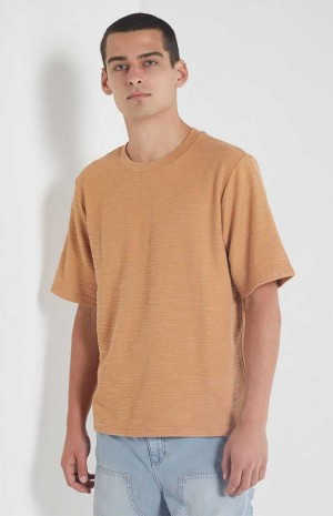 Pánské T-shirt PacSun Tan Scout Texture Hnědé | 65UMQALGZ