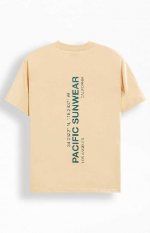 Pánské T-shirt PacSun Tech Terrain Hnědé | 25WFORGPB